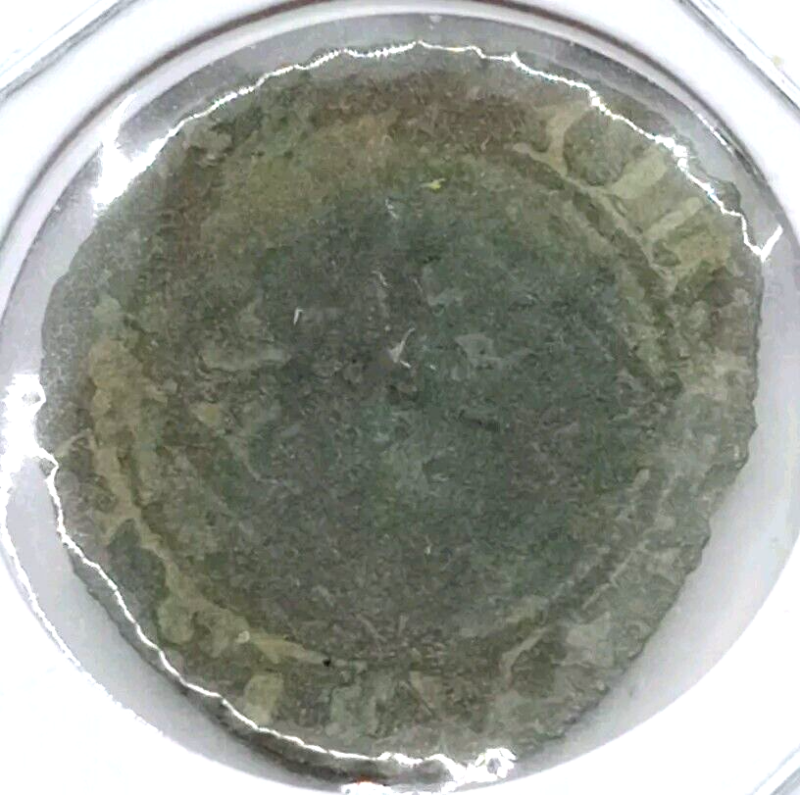 1545 Rare One Groschen Prussia VG+ RARE!!! - Image 3