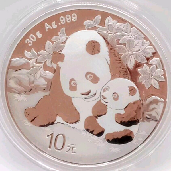 2024 China 10 Yuan Panda Silver Coin 30g .999