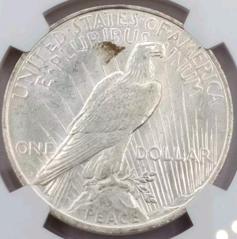 1923 D Peace Silver $1 Dollar NGC MS 62 - Image 4