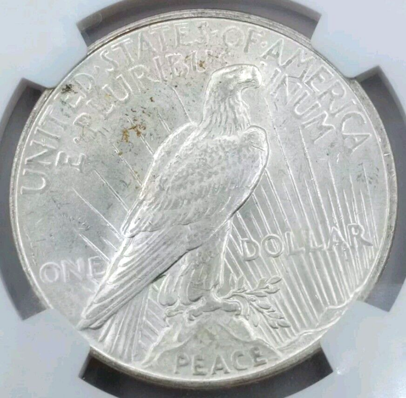 1923 D MS61 Peace Dollar NGC - Image 4